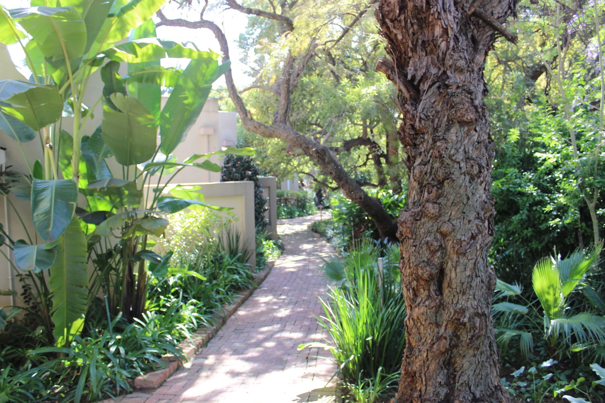 Village Ridge Boutique Stays Pretoria-Noord Eksteriør billede